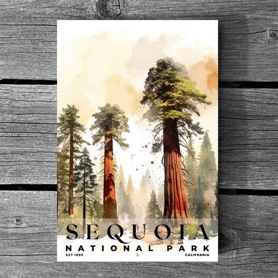 Sequoia National Park Poster, Travel Art, Office Poster, Home Decor | S4 - image3